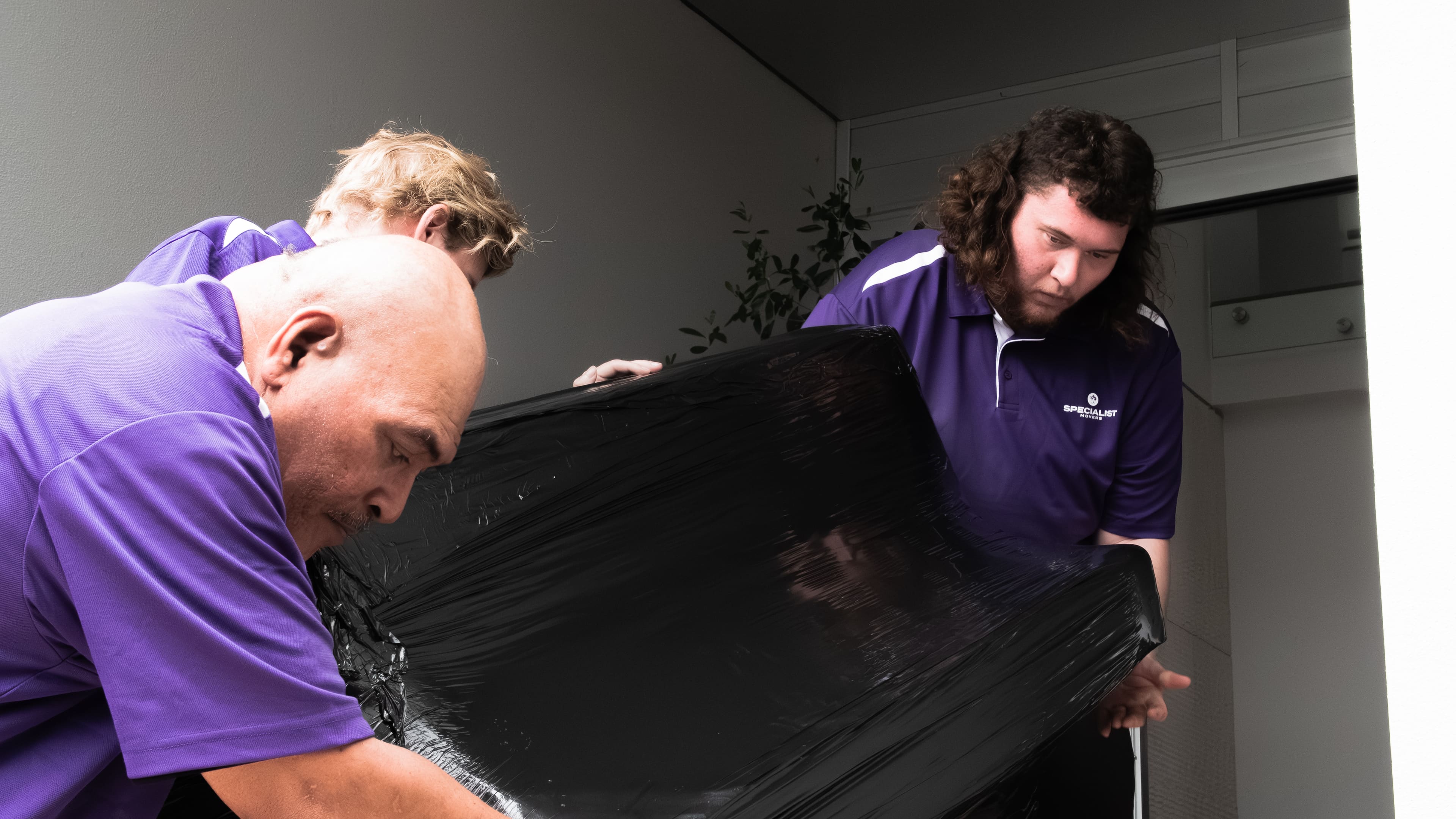Furniture Removals Auckland